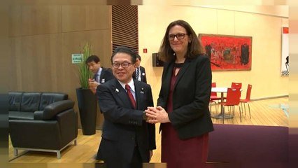 La UE y Japón presionan a EE.UU. para eludir los aranceles de Trump