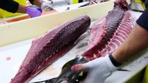 Fish Filleting- Bluefin Tuna