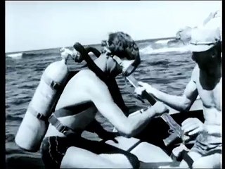 AUSTRALIAN SHARKS - 1960s