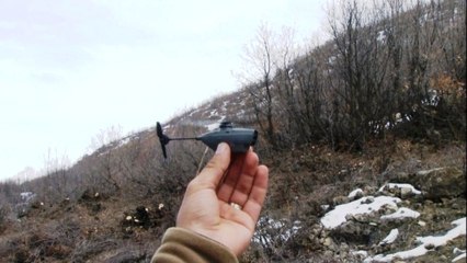 Teröristlerin Kabusu Oldu! "Eşek Arısı" Buluyor, METİ Timleri İmha Ediyor