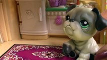 LPS Wheres Lisa? - Mommies Part 38 Littlest Pet Shop Series Movie LPS Mom Babies Bulldog