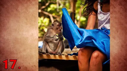 25 Perfectly Timed Photos