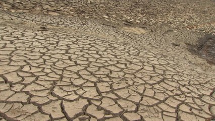 봄비는 제법 내렸지만...남부지방은 '아직도 목이 탄다' / YTN