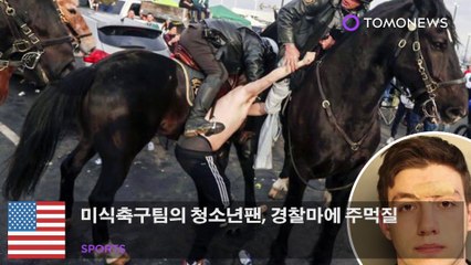 미식축구팀의 청소년팬, 경찰마에 주먹질