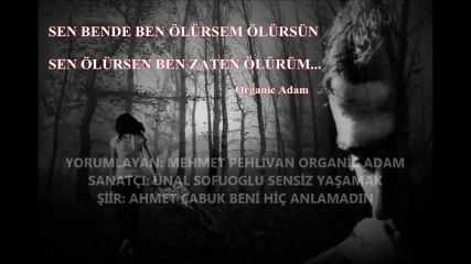 MEHMET PEHLİVAN ORGANİC ADAM - BENİ HİÇ ANLAMADIN - ÜNAL SOFUOGLU SENSİZ YAŞAMAK