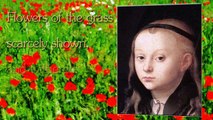 Flowers of the Grass | Haiku Video