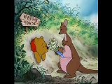 Winnie The Pooh Rabbit Delimma Normal,Fast and Slow