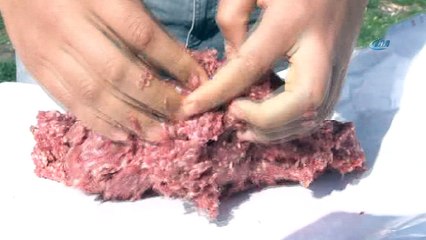 Güneşli havayı gören vatandaşlar mesire alanlarına koştu