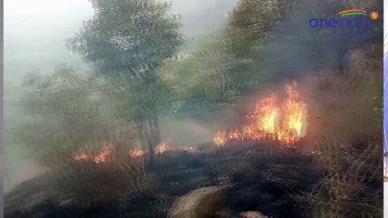 தேனி அருகே பயங்கர காட்டுத்தீயில் சிக்கிய மாணவர்கள்