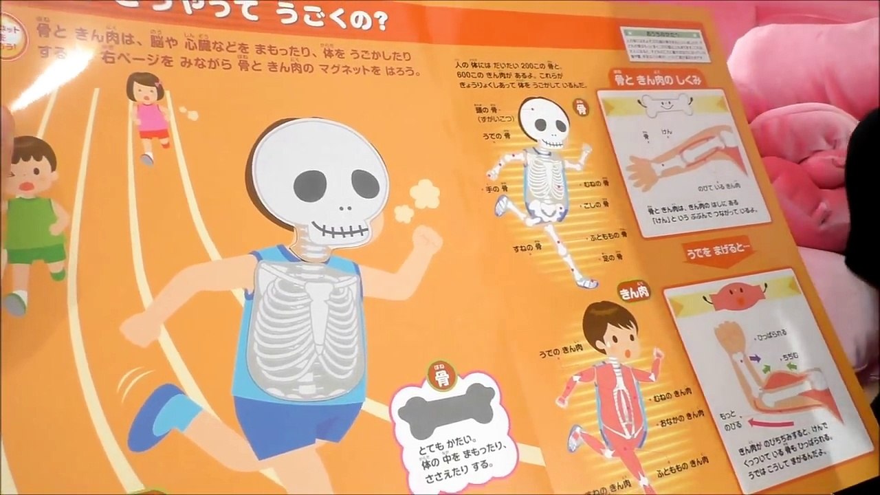 ★Body in Wonderland★体のふしぎ「う○ちはどうやってできるの？」★