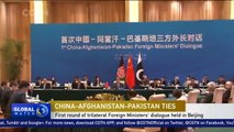 First round of trilateral Foreign Ministers' dialogue held in Beijing