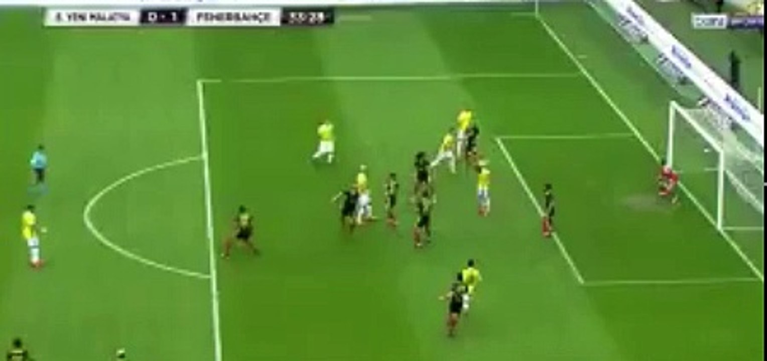 Yeni Malatyaspor: 0 -1 :Fenerbahçe (Roman Neustadter'in golü)