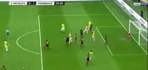 Yeni Malatyaspor: 0 -1 :Fenerbahçe (Roman Neustadter'in golü)