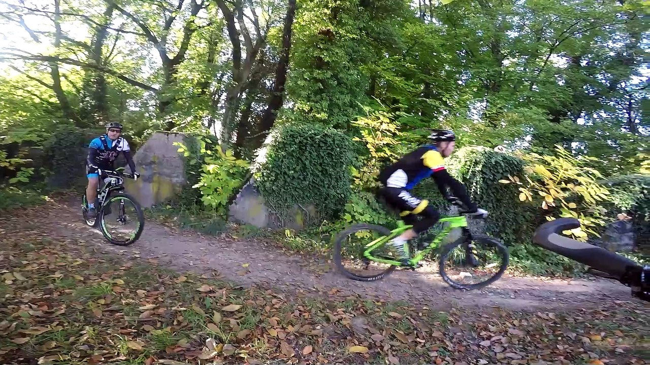 18 La forêt magique