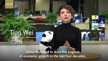 Wei, the World: Political parties of the world unite for a shared future