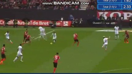Résumé Guingamp - Nice but Alassane Plea (1-1)