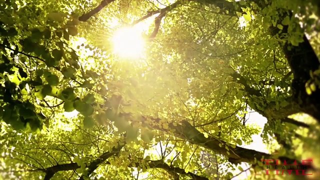 Daylight Savings Time_ How Losing 1 Hour Of Sleep Affects Your Body & Ways To Minimize Impact _ TIME