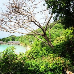 Good morning breakfast on Bawah island | Anthony S Casey Singapore