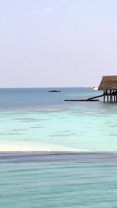 Seaplane flyby the pool | Anthony S Casey Singapore