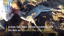 Man performs mouth-to-mouth resuscitation on drowned deer