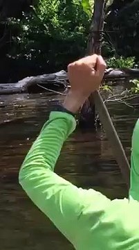 Chicos! Mira esto Gente! olha isso