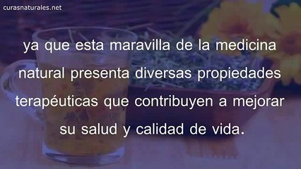 15 AÃ±os Mi MÃ©dico Luchando Con Mi ARTRITIS Y Esta Hierba Hizo Que Desapareciera En 7 DÃ­as