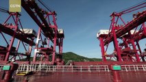 The world's largest ore transport vessel connects BRICS