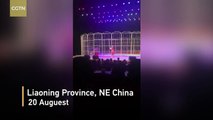 Circus tiger attacks trainer during show in NE China