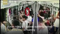 Passengers blindly follow screaming man rushing out of train