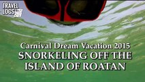 Carnival Dream Vacation 2015: Snorkeling off the Island of Roatan