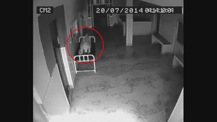 5 FANTASMAS FILMADOS EM HOSPITAIS
