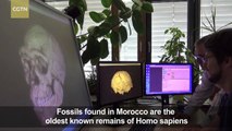 Oldest known fossils of human species unearthed in Morocco
