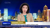 Kashmir shuts down in protest against insurgents' death