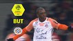 But Jérôme ROUSSILLON (64ème) / LOSC - Montpellier Hérault SC - (1-1) - (LOSC-MHSC) / 2017-18