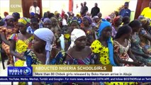 82 Chibok schoolgirls freed by Boko Haram