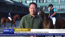 Akhal-Teke horses see boom in NW China’s Xinjiang