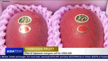 Two red Japanese mangoes sell for $3,600