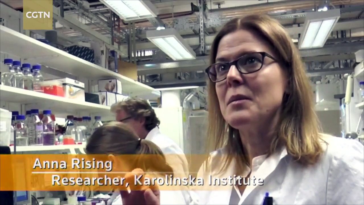 Watch: Swedish scientists spin artificial spider silk