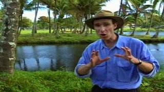 Bill Nye the Science Guy S03E10 Climates