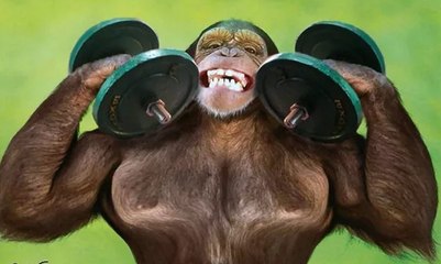 Dans un corps sain, esprit Sain  In a healthy body-Healthy spirit