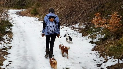 En balade chemin au dessus 0