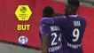 But Firmin MUBELE (19ème) / Toulouse FC - Olympique de Marseille - (1-2) - (TFC-OM) / 2017-18