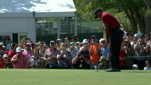 우즈, 발스파 챔피언십 공동 2위...2년 7개월 만에 톱10 / YTN