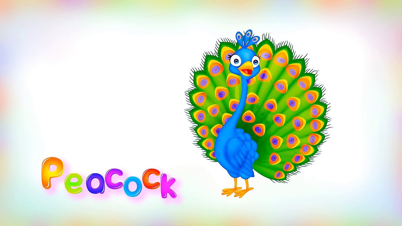 Animal Video Sounds for Kids. 77 animals for toddlers ( animals for baby, animals for kids )