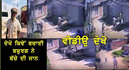 dekho kime bachayee bazurg ne bache di jaan