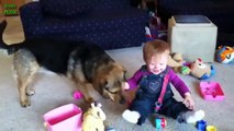 Best Babies Laughing Hysterically at Dogs Compilation 2018 - FUNNY BABIES