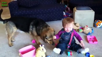 Best Babies Laughing Hysterically at Dogs Compilation 2018 - FUNNY BABIES