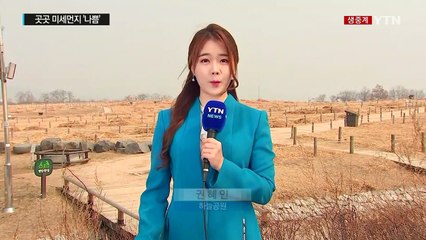 [날씨] 기온 쑥, 서울 14℃...곳곳 미세먼지 '나쁨' / YTN