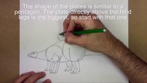 How to Draw a Stegosaurus