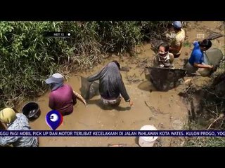 Tradisi Tangkap Ikan Warga Mempawah  NET 12